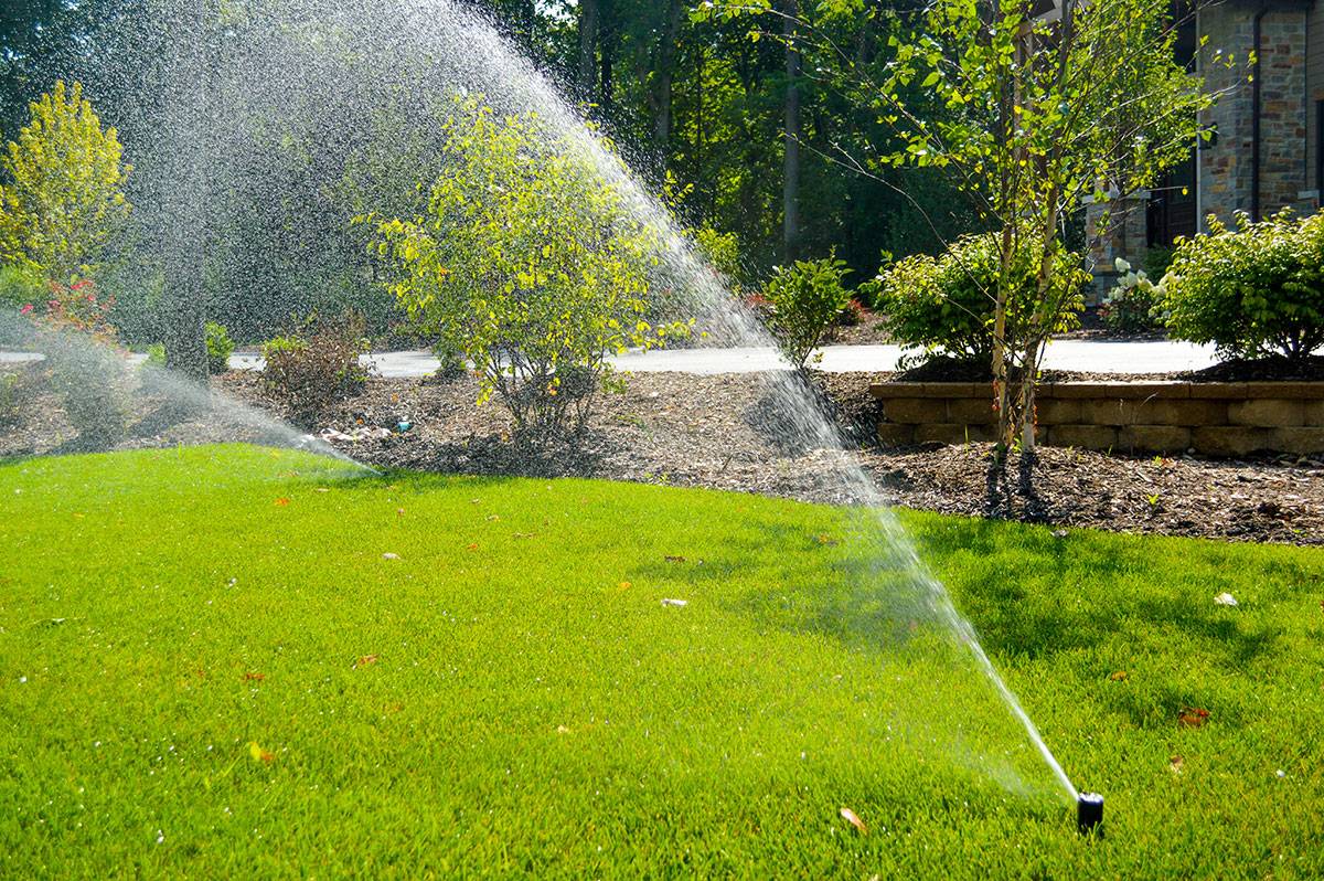 Sprinkler Installation Cost | What Impacts the Cost