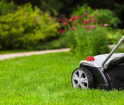 Green lawn with a lawn mower.