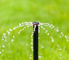 This is an up close view of a lawn sprinkler head, important when choosing a lawn sprinkler system.