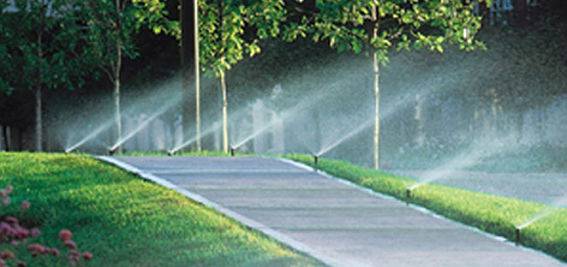 Sprinkler heads set up by American National sprinkler company.