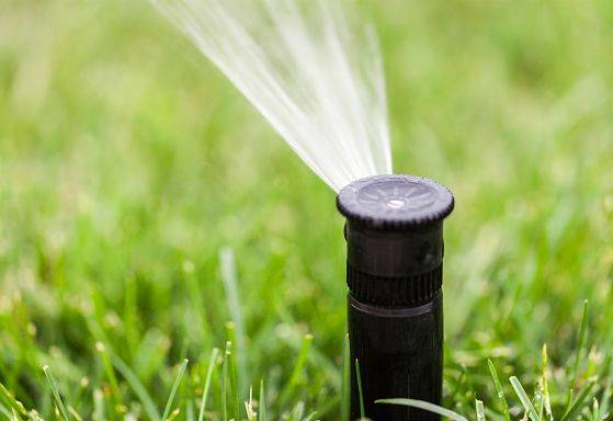 A close up of an automatic sprinkler system sprinkler head from American National.