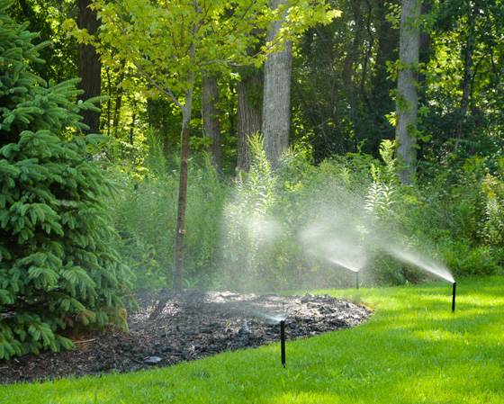Best sprinkler system by American National.