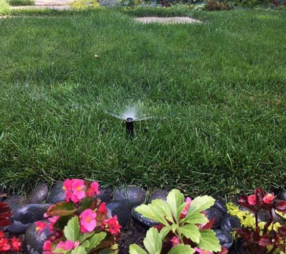 Up close view of a sprinkler from a commercial irrigation system.