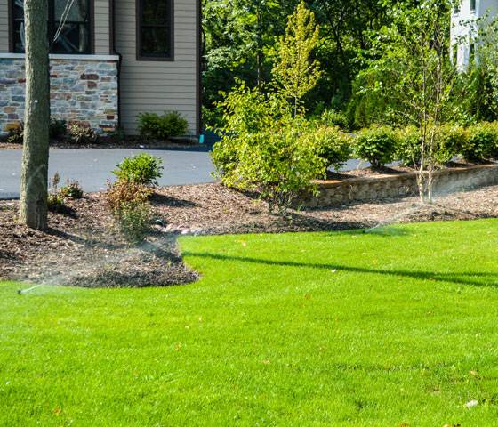 Lawn irrigation system in a home's front yard.