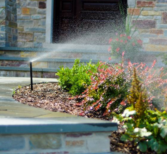 Sprinkler system companies like American Sprinkler can install sprinklers in your front yard.