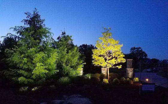 Outdoor lighting Chicago - night lighting on a property.