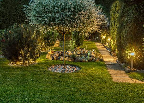 Outdoor lighting installers - nice outdoor lighting in a garden.