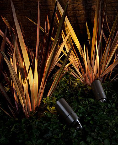 Landscape lighting contractors from American National installed plant lights.