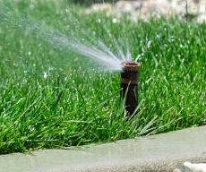 An automatic yard sprinkler system in a client's yard.