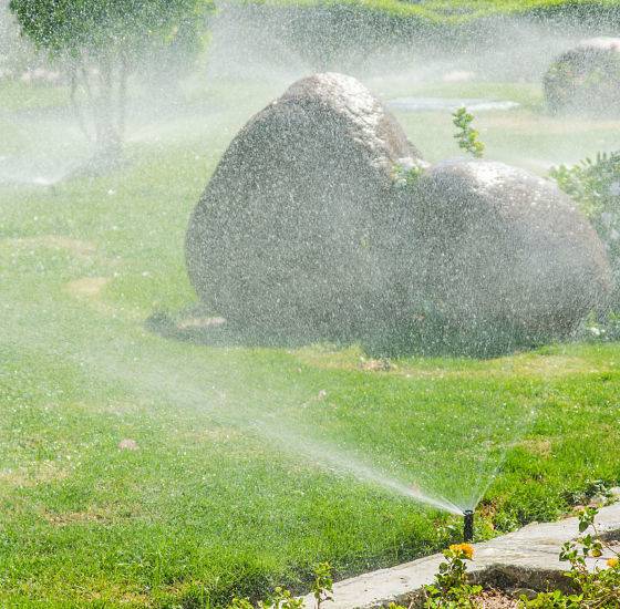 Automatic watering system sprinkler head near a rock watering the landscape.