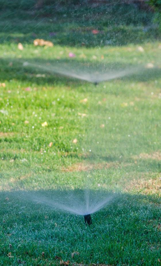 Automatic watering system - two sprinkler heads watering a client's yard.