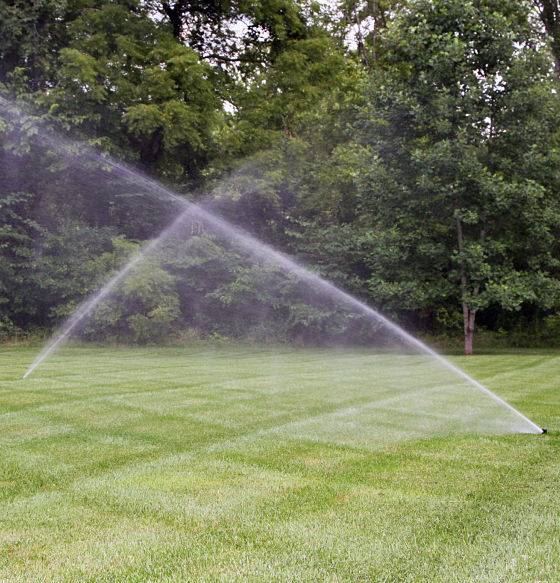 Automatic watering system in action.