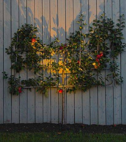 Outdoor accent lighting on a tree in a client's yard.