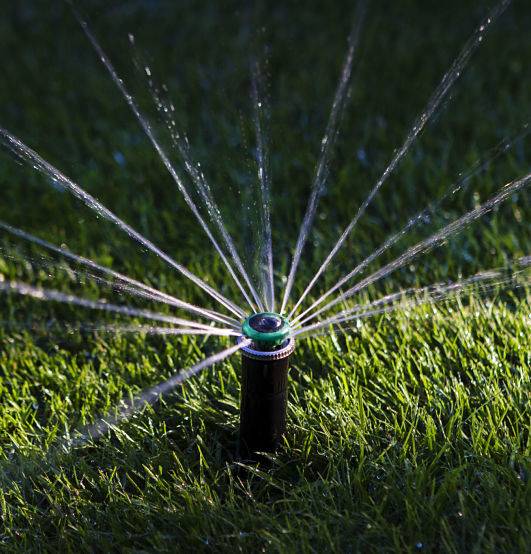 Sprinkler installation cost depends on various factors.