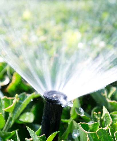 Sprinkler system winterization - An upclose look at a sprinkler head.