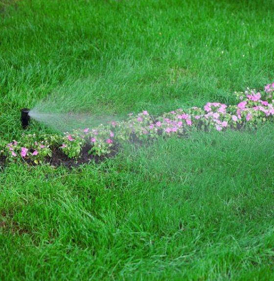 Irrigation specialists set up a sprinkler head near flowers to keep them well watered.