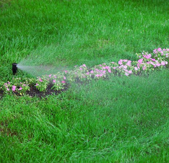 Irrigation specialists set up a sprinkler head near flowers to keep them well watered.