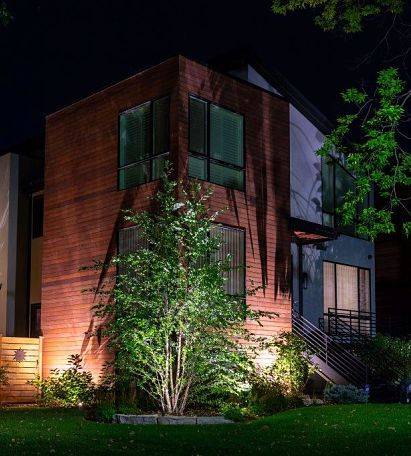 Architectural lighting design - lighting in front of home highlighting a bush.