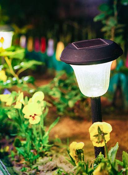 Our low voltage landscape lighting systems can illuminate plants, trees, and paths.