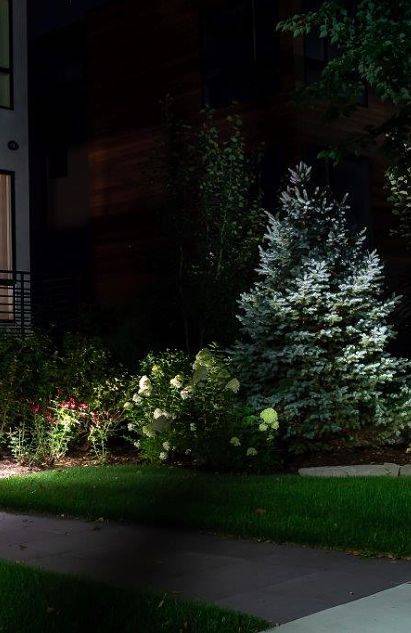 American National Sprinkler & Lighting can set up a low voltage landscape lighting system to highlight plants and trees like this.