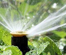 Home irrigation system - an up close sprinkler head watering the landscape.