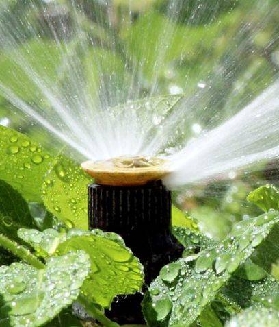 Home irrigation system sprinkler head - up close sprinkler head in a garden landscape.