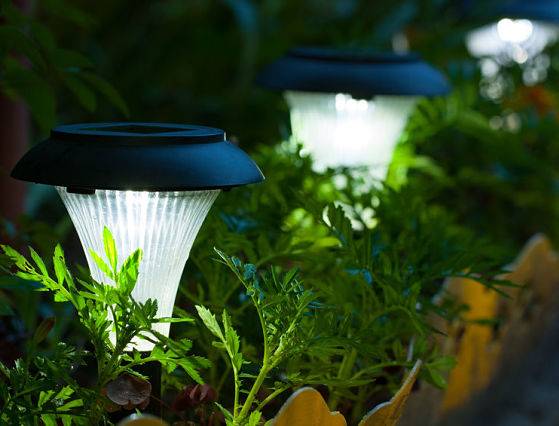 Landscape lighting service is offered by American National Sprinkler & Lighting - solar lighting in a garden.