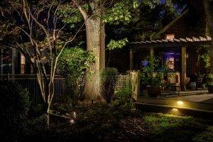 American National Sprinkler & Lighting - outdoor lighting system to illuminate their trees and patio.