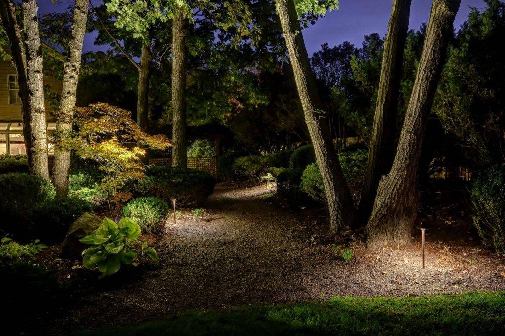 American National Sprinkler & Lighting - outdoor lighting system in a customer's backyard illuminating landscape beds and trees.