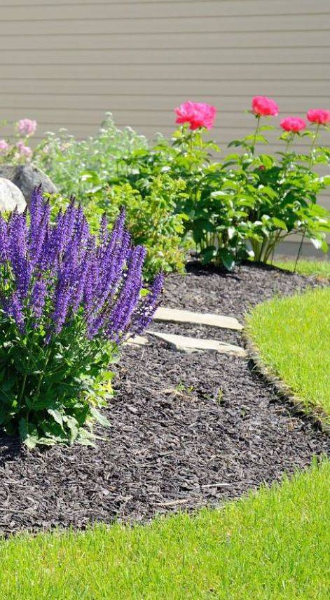 American National Sprinkler & Lighting - home improvement projects like adding landscaping to your home can improve it's value - purple and pink flowers and landscaping.