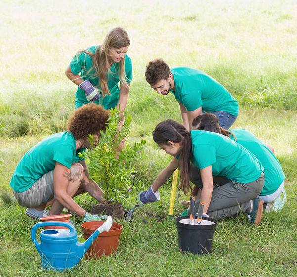 American National Sprinkler & Lighting - Jimmy V philanthropy, One Tree Planted - we plant trees when we get a new client.