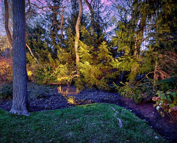 American National Sprinkler & Lighting - best voltage low landscape lighting - landscape bed with low voltage landscape lighting.