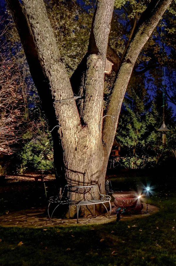 Install Low Voltage Landscape Lighting, How To Hide Landscape Wire