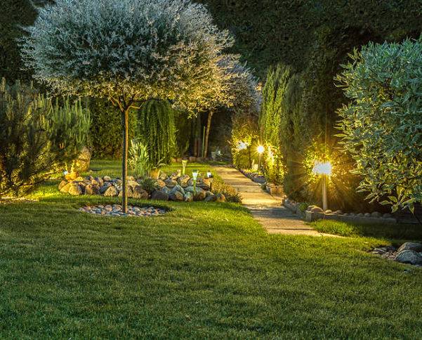 American National Sprinkler & Lighting - landscape lighting and irrigation can increase your home's value and curb appeal - landcape lighting on a home's backyard.