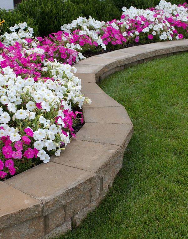 American National Sprinkler & Lighting - landscape lighting for retaining walls - a retaining wall with flower landscape.