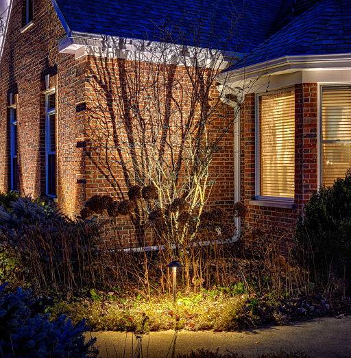 American National Sprinkler & Lighting - landscape lighting system installed in a home in Hawthorn Woods - highlighting a bush.