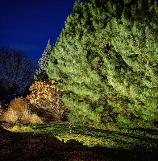 American National Sprinkler & Lighting - landscape lighting system installed in a home in Hawthorn Woods - highlighting landscape.