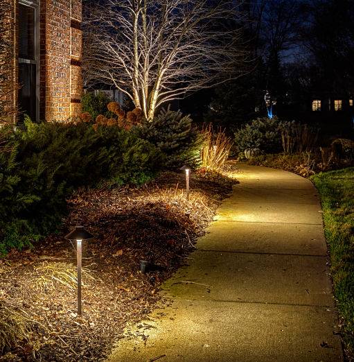 American National Sprinkler & Lighting - landscape lighting system installed in a home in Hawthorn Woods - illuminating a pathway.