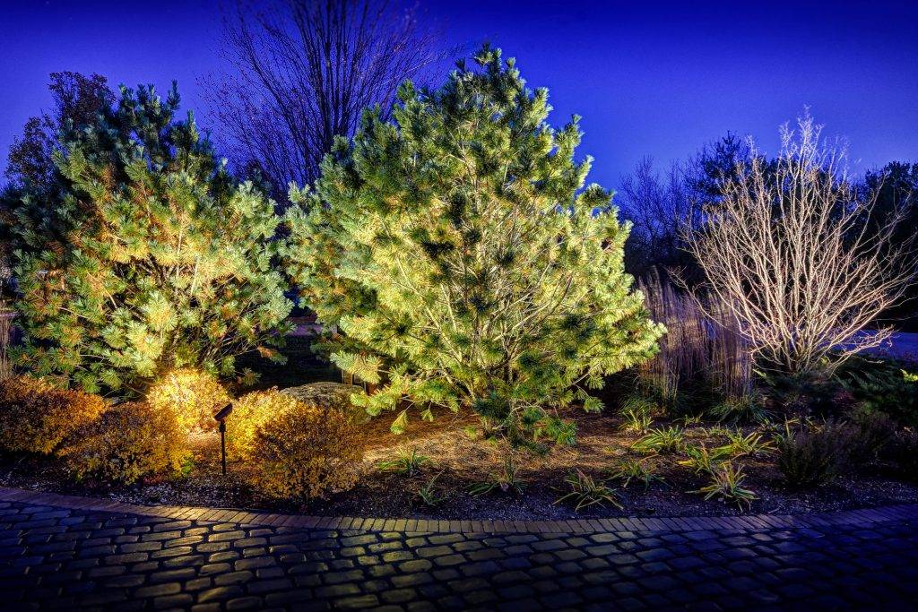 american-national-lighting-and-landscape-lakewood-home (16)
