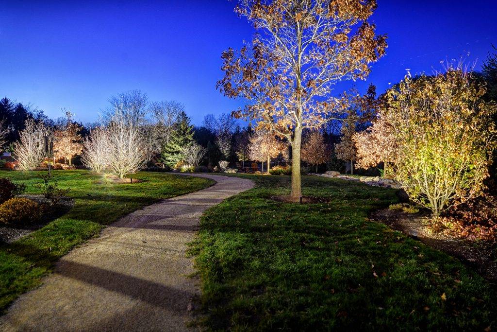 american-national-lighting-and-landscape-lakewood-home (19)