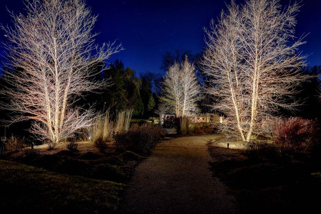 american-national-lighting-and-landscape-lakewood-home (26)