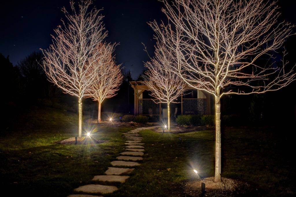 american-national-lighting-and-landscape-lakewood-home (31)
