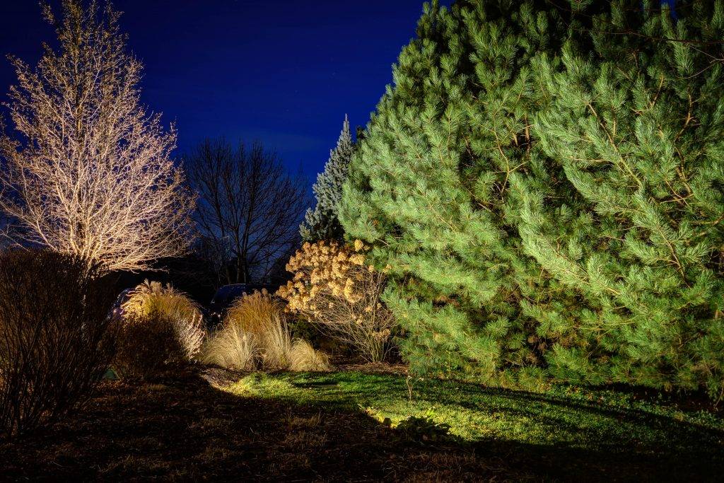 american-national-lighting-and-landscapte-230-north-trail-home (15)
