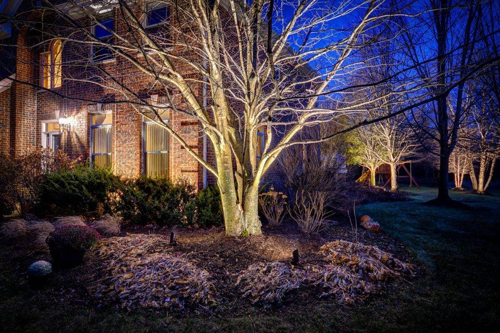 american-national-lighting-and-landscapte-230-north-trail-home (8)