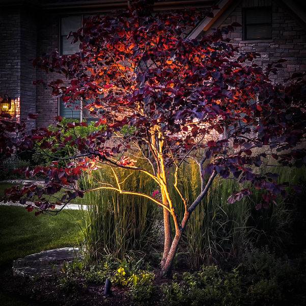 Best landscape store lighting