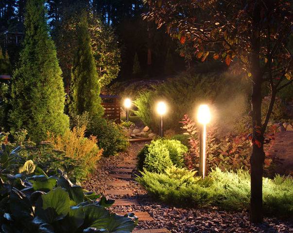 American National Sprinkler & Lighting - custom made landscape lighting can highlight the best features of your home including trees, fountains, shrubs, and more.