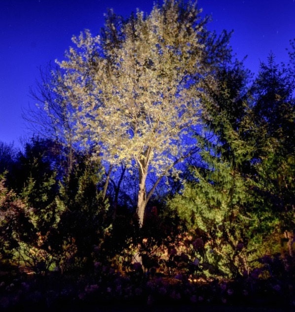 American National Sprinkler & Lighting - Niles Landscape Lighting for your backyard and landscape lighting needs.
