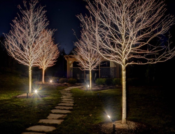 American National Sprinkler & Lighting - Morton Grove Landscape Lighting on trees.