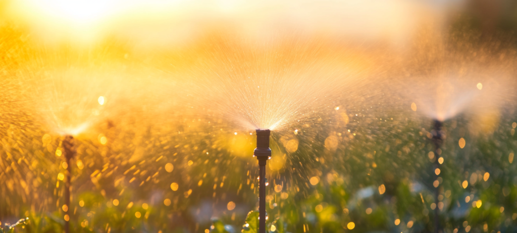 The Pros and Cons of In-Ground Sprinkler Systems (2)