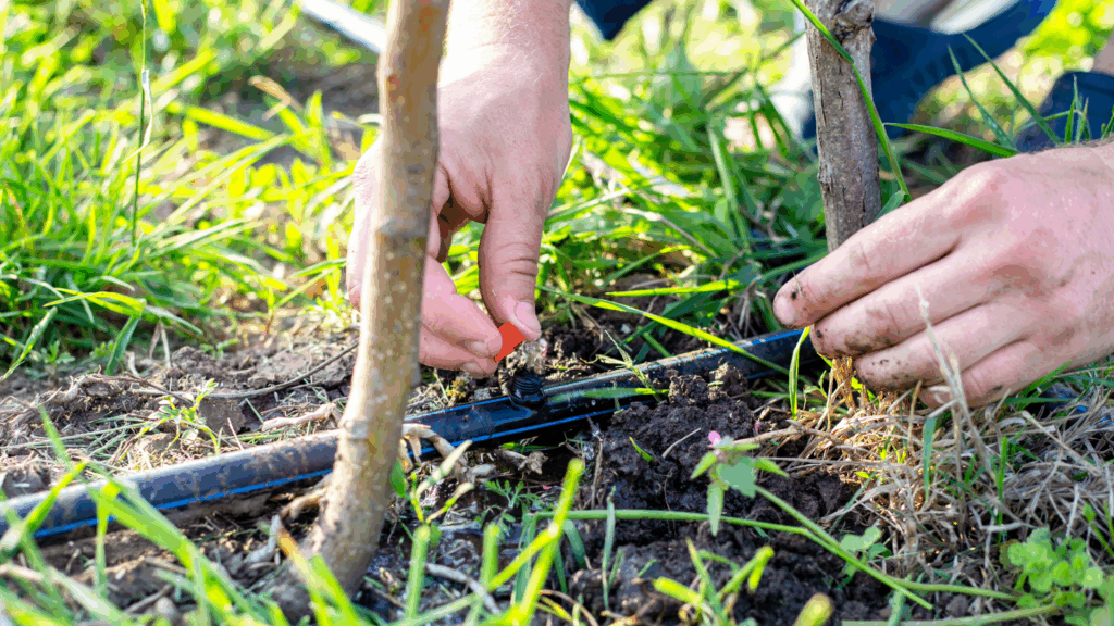 cost to install a sprinkler system (1)